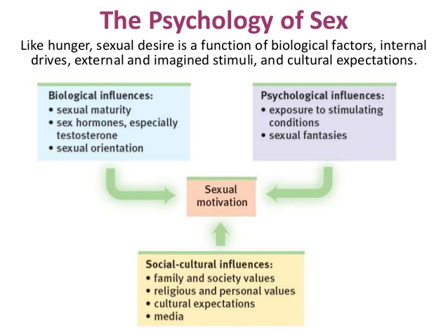 Sexual psychology blowjob